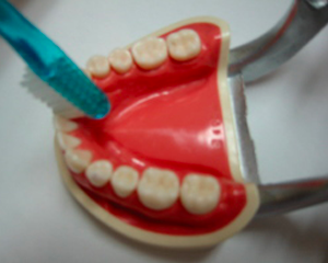 歯の裏は歯ブラシの頭を使います。